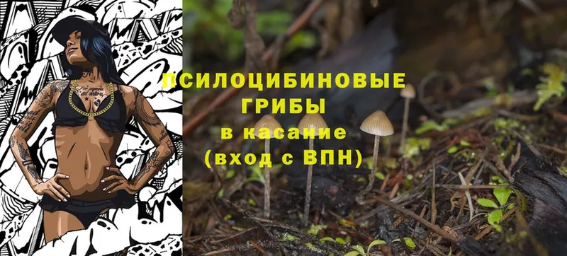 купить  сайты  Алупка  Псилоцибиновые грибы Cubensis 